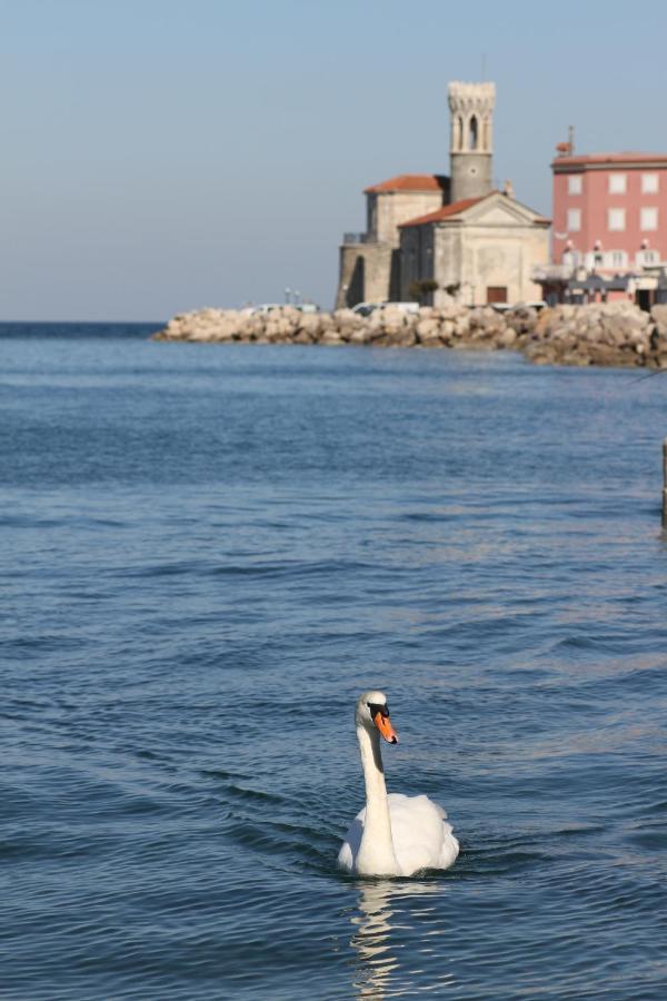 Sal & Mar Apartments Piran Exterior foto